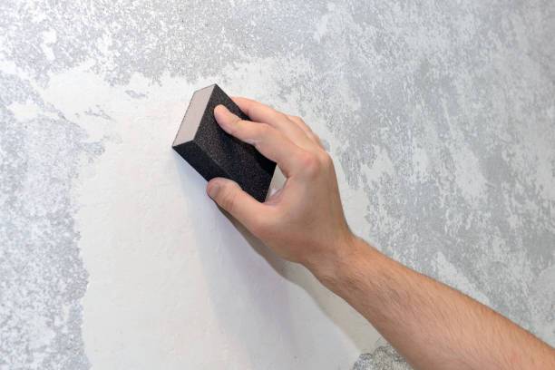 Professional Mold Removal in Mentone, IN