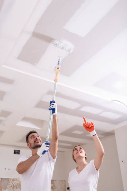 Best Mold Odor Removal Services  in Mentone, IN