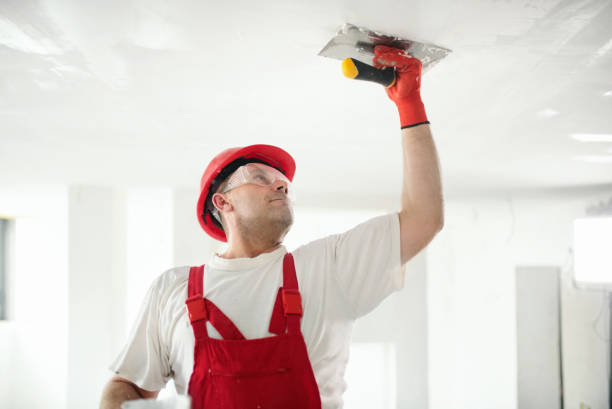 Best Basement Mold Removal  in Mentone, IN