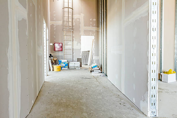 Best Mold Odor Removal Services  in Mentone, IN