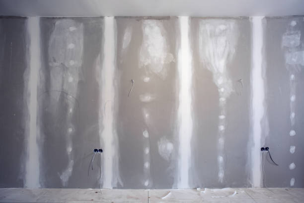 Best Mold Remediation for Vacation Homes  in Mentone, IN